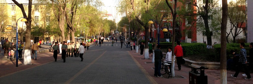 Trees turn green as spring finally comes to Harbin